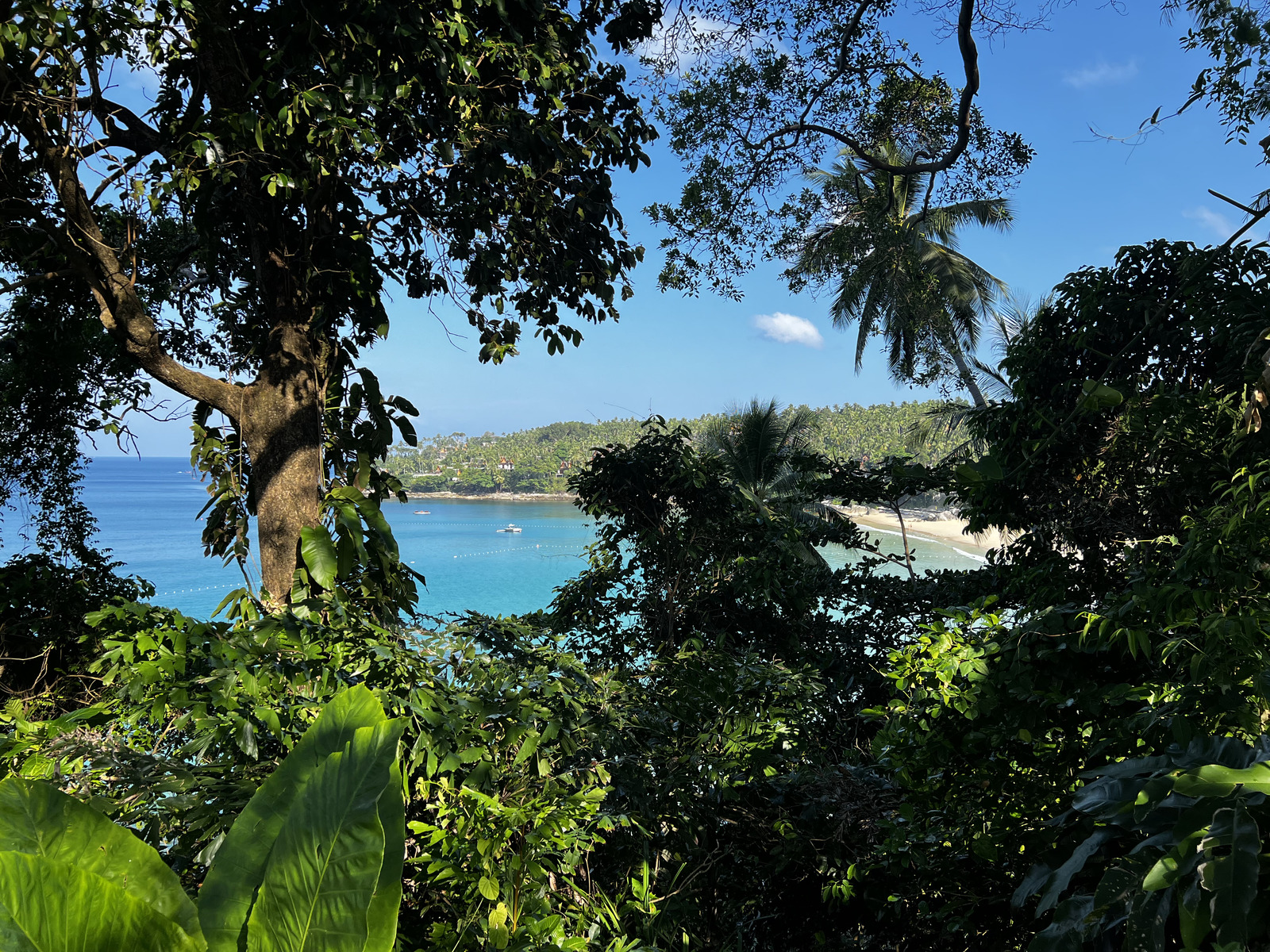 รูปถ่าย ไทย(Thailand) ภูเก็ต(Phuket) หาดสุรินทร์เหนือ(Surin north Beach) 2021-12 16