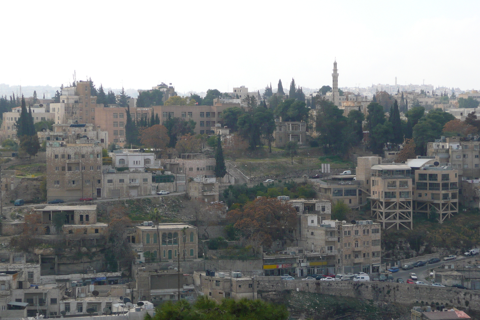 รูปถ่าย จอร์แดน(Jordan) อัมมาน(Amman) ป้อมปราการอัมมาน(Amman Citadel) 2007-12 11