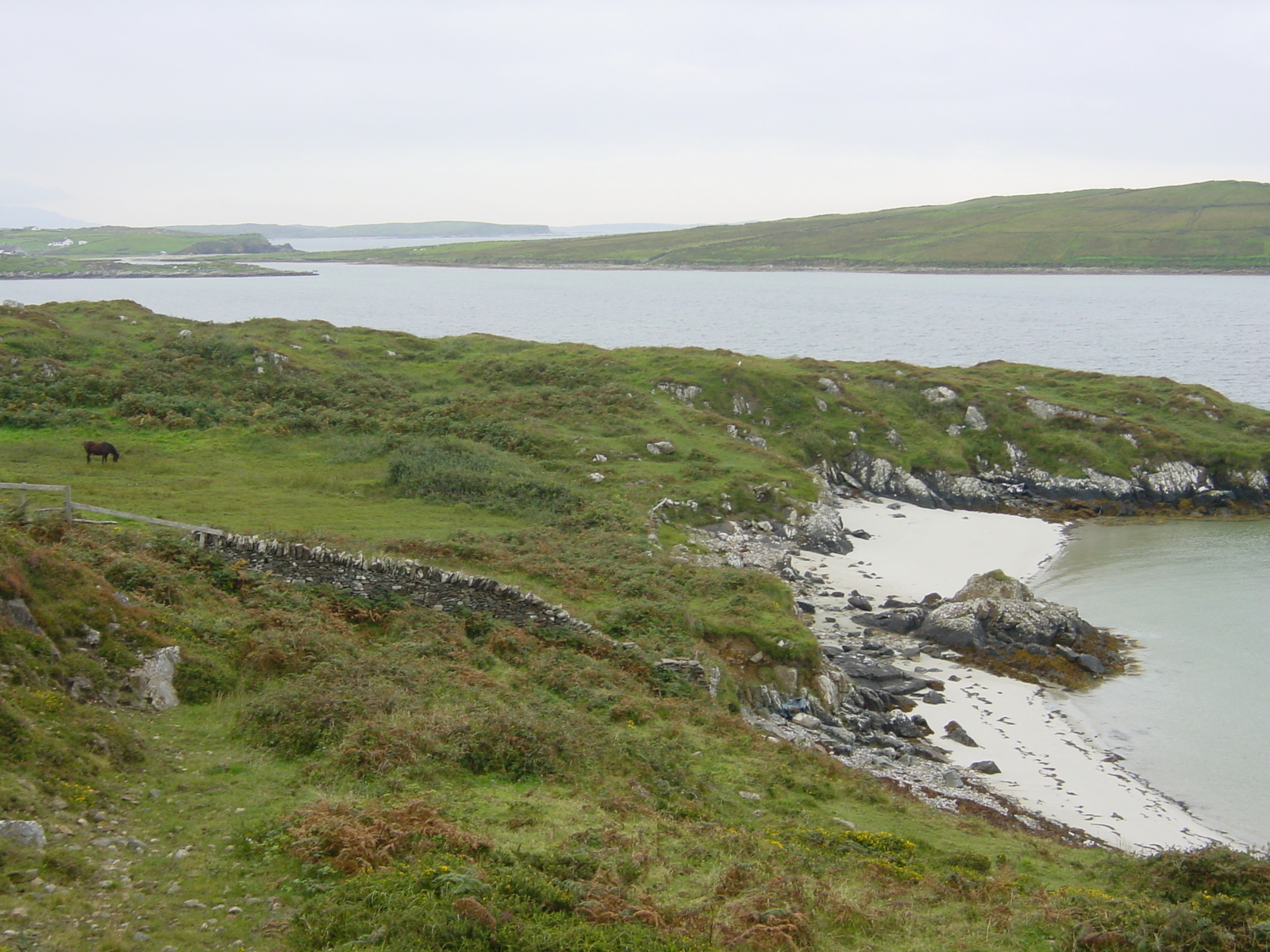 รูปถ่าย ไอร์แลนด์(Ireland) คอนเนอมารา(Connemara) 2003-09 74