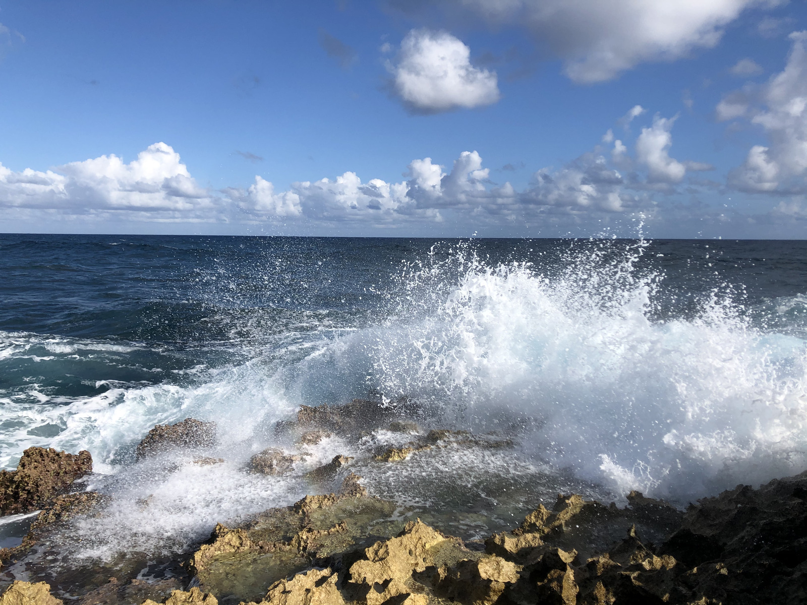 รูปถ่าย กวาเดอลูป(Guadeloupe) แหลมคาสเซิลพอยต์(Castle Point) 2021-02 299
