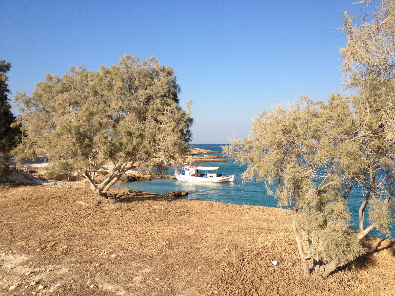 รูปถ่าย กรีก(Greece) เกาะคูโฟนิสเซีย(Koufonissia) 2014-07 461