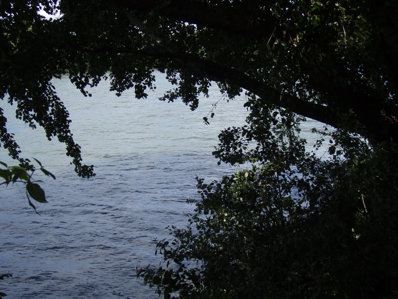 รูปถ่าย ฝรั่งเศส(France) โคลอมบ์(Colombes) เกาะมาร็องต์(L'ile Marrante) 2007-07 23