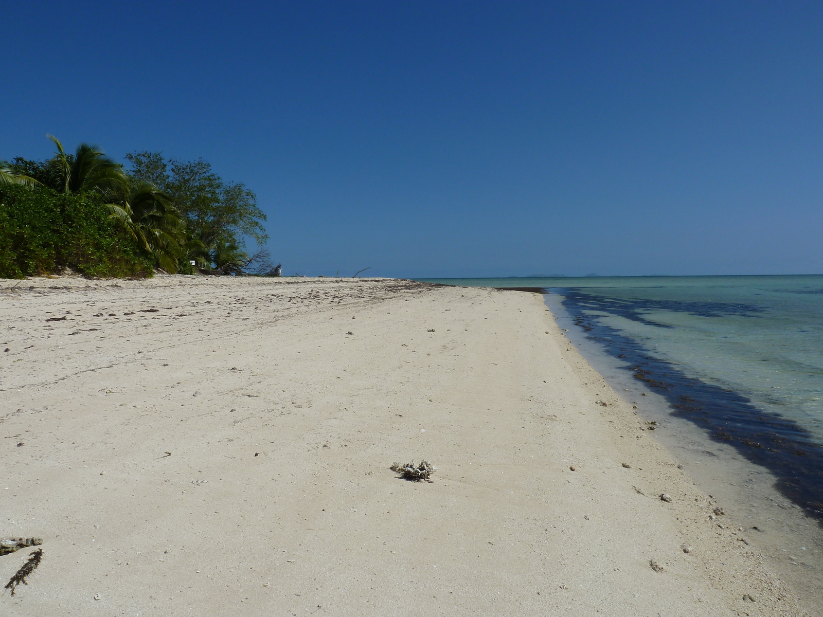 รูปถ่าย ฟิจิ(Fiji) เรือสำราญกัปตันคุก(Captain Cook Cruises) 2010-05 15
