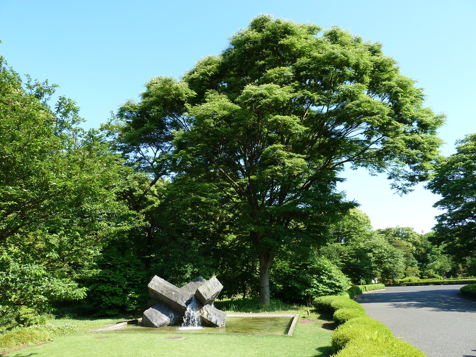 รูปถ่าย ญี่ปุ่น(Japan) โตเกียว(Tokyo) พระราชวังหลวง(Imperial Palace) 2010-06 87