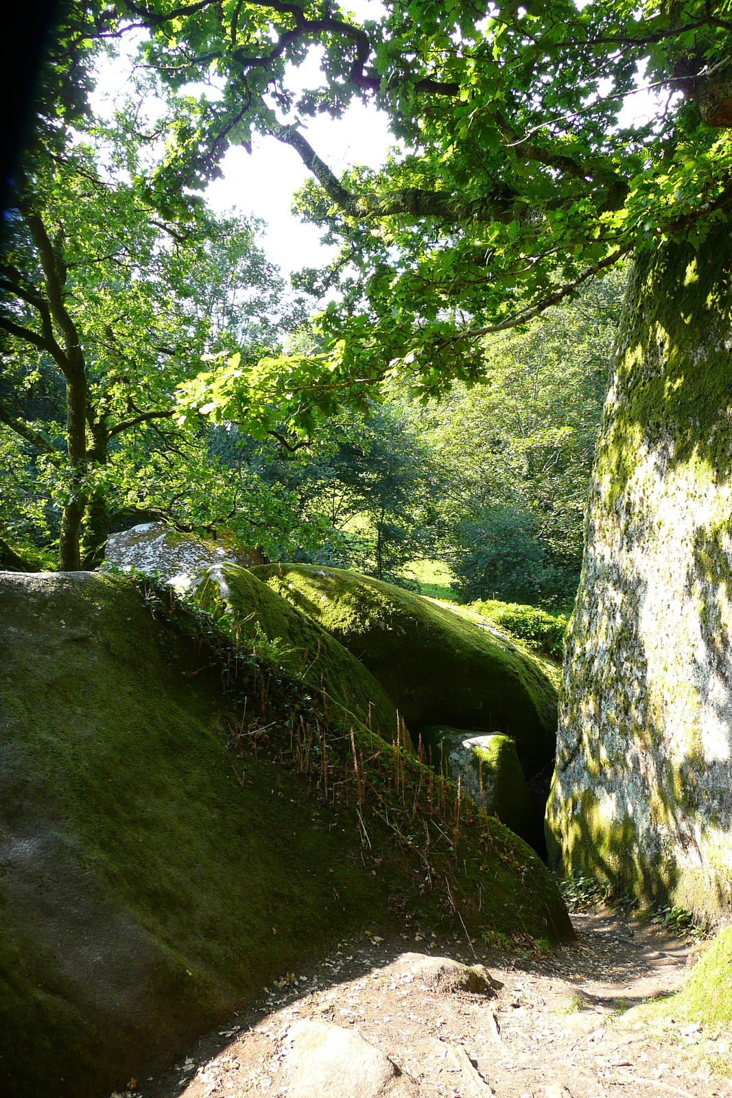 รูปถ่าย ฝรั่งเศส(France) อูแอลโกแอท(Huelgoat) 2007-08 126