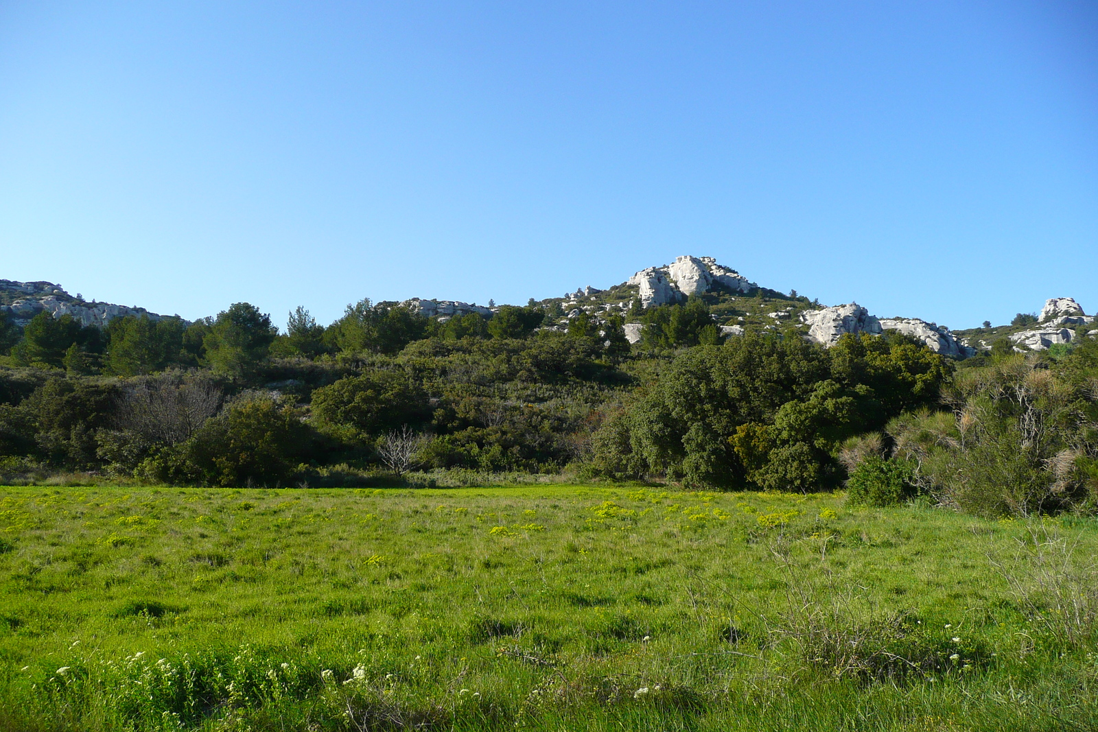 รูปถ่าย ฝรั่งเศส(France) โพรว็องส์(Provence) ถนนจากโบเดอโพรว็องส์ไปตาราสกง(Baux de Provence to Tarascon road) 2008-04 8