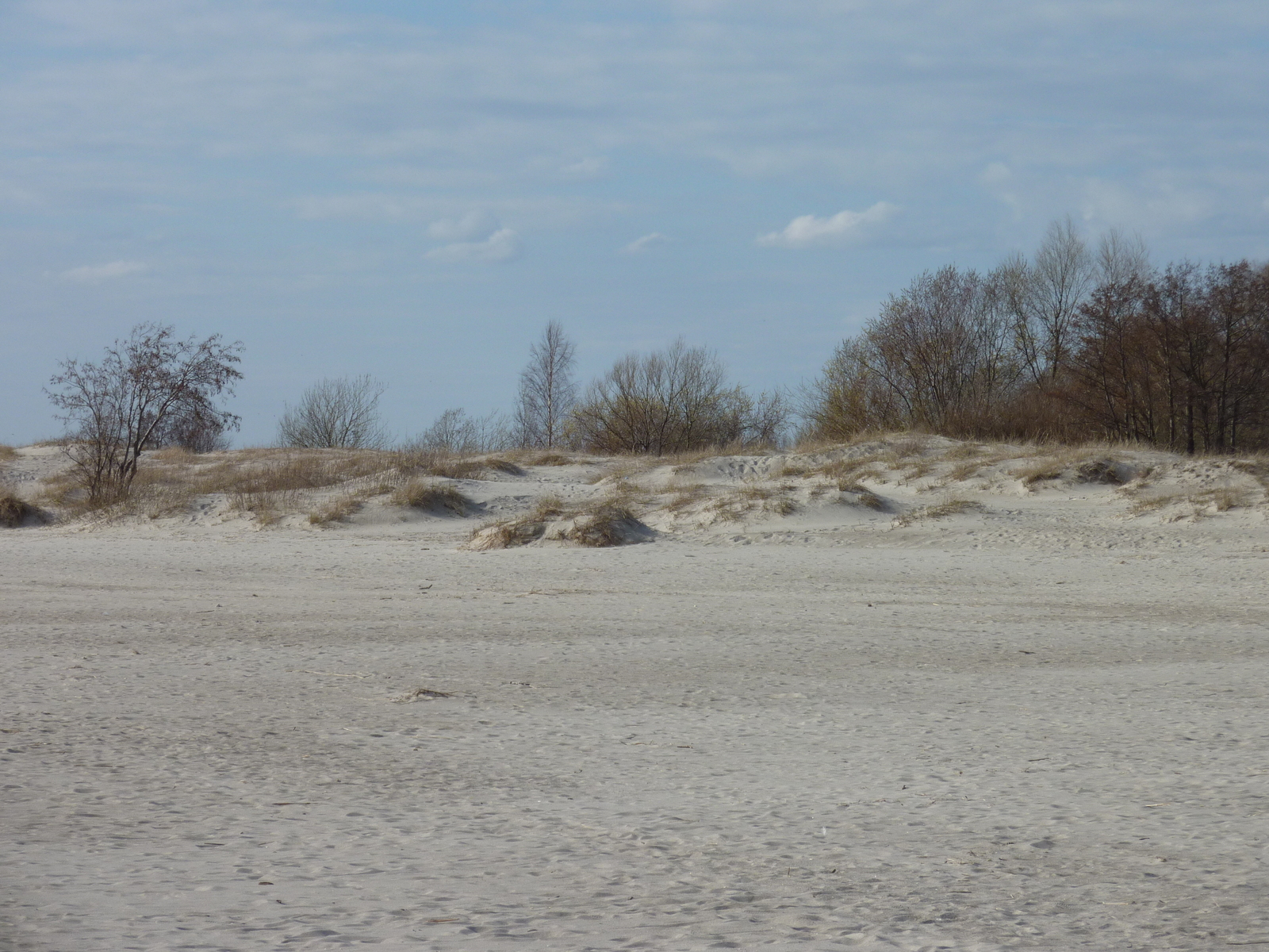 รูปถ่าย เอสโตเนีย(Estonia) แพร์นู(Parnu) 2009-04 1
