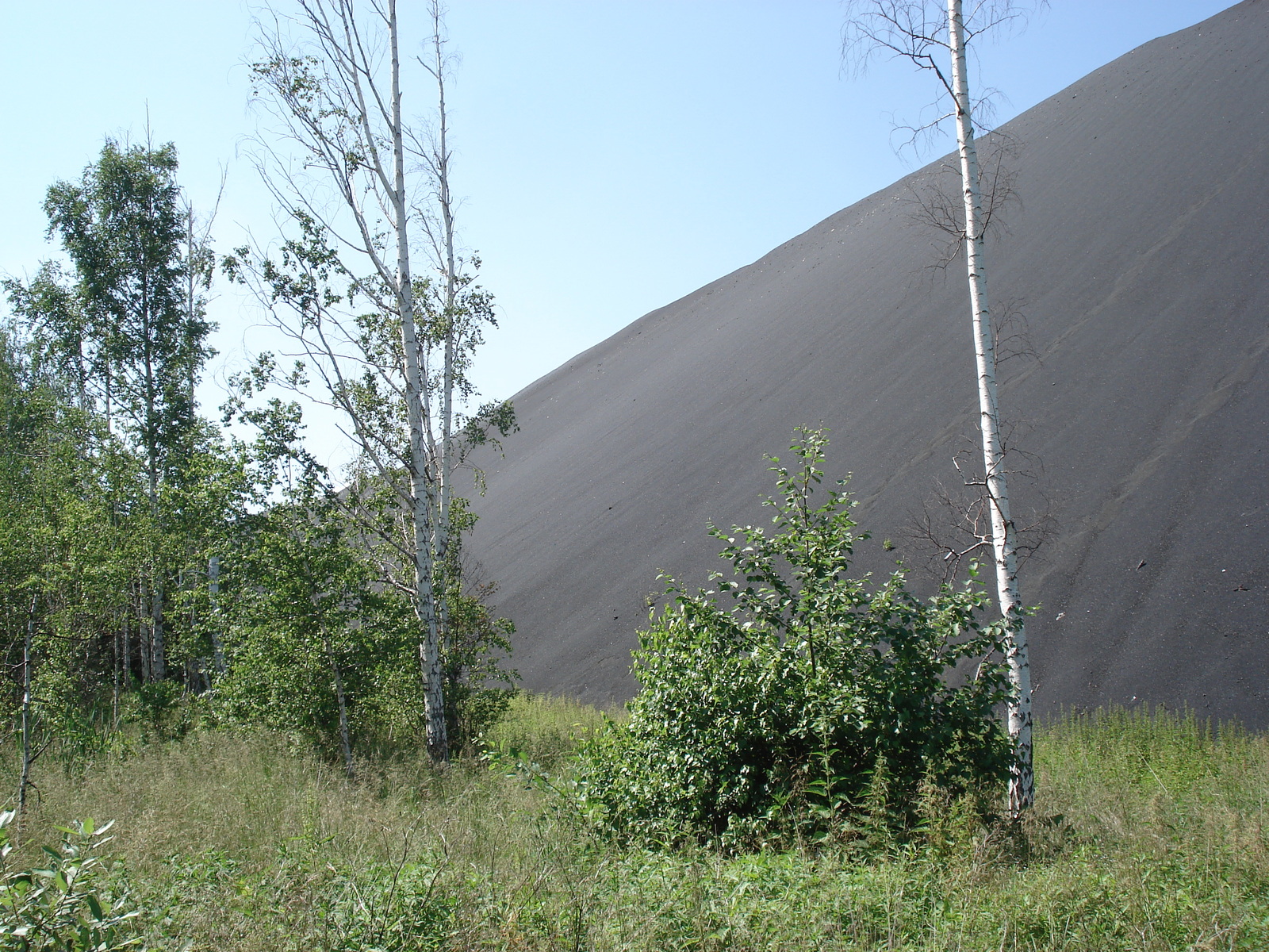 รูปถ่าย รัสเซีย(Russia) อูรัล(Ural) 2006-07 247