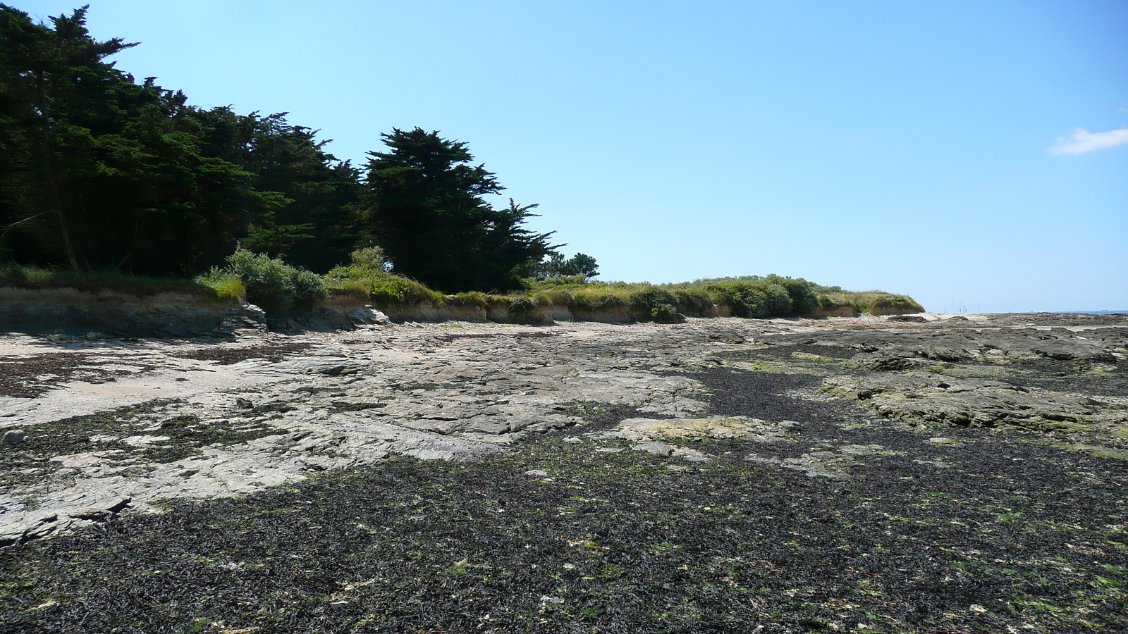 รูปถ่าย ฝรั่งเศส(France) เพรฟาย(Prefailles) จากแหลมแซ็ง-ฌีลดาไปลาเปร(La pointe Saint Gildas to La Pree) 2007-08 67