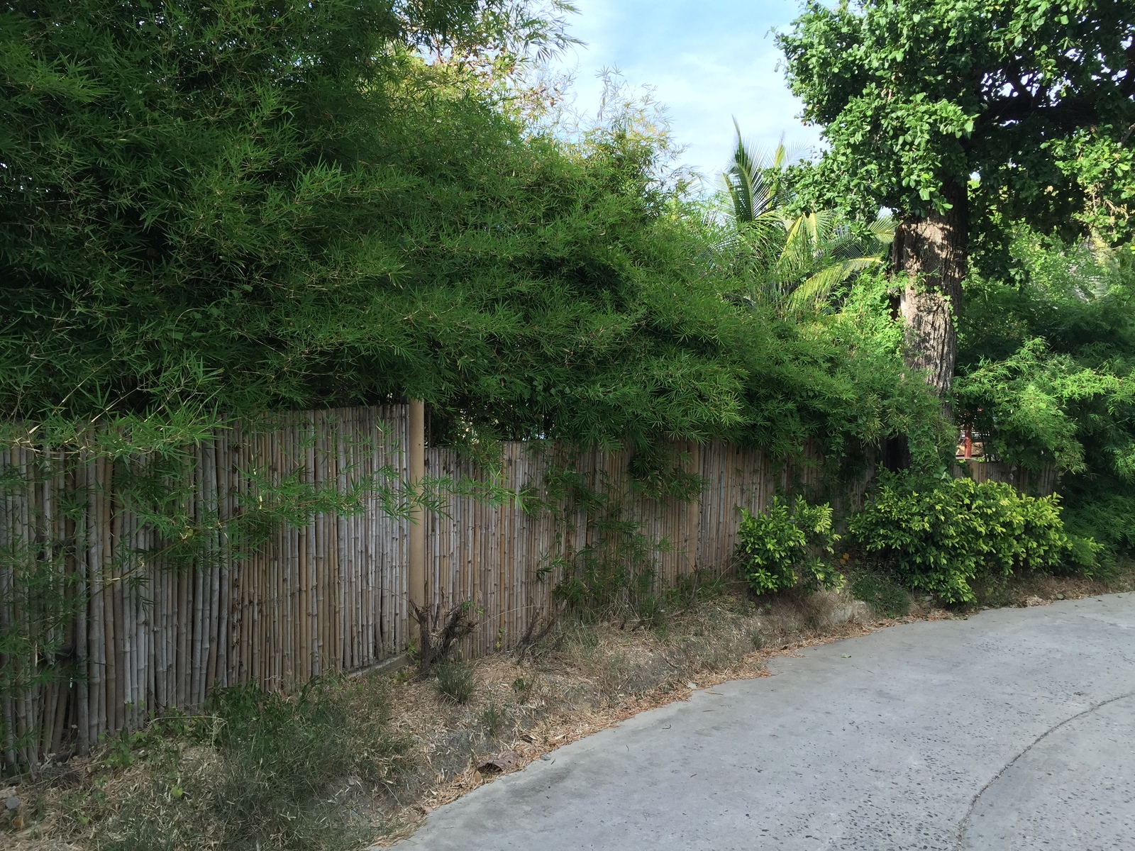 รูปถ่าย ไทย(Thailand) เกาะเสม็ด(Ko Samet) 2014-12 339