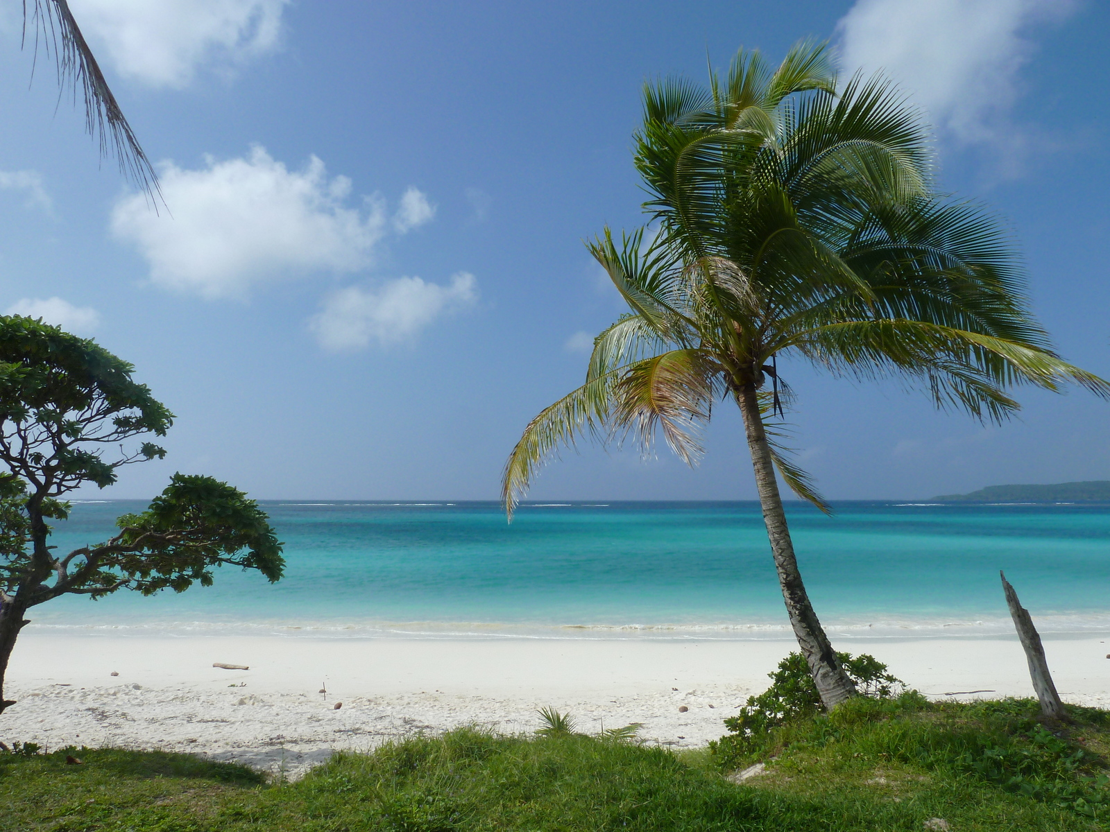 รูปถ่าย นิวแคลิโดเนีย(New Caledonia) 2010-05 115