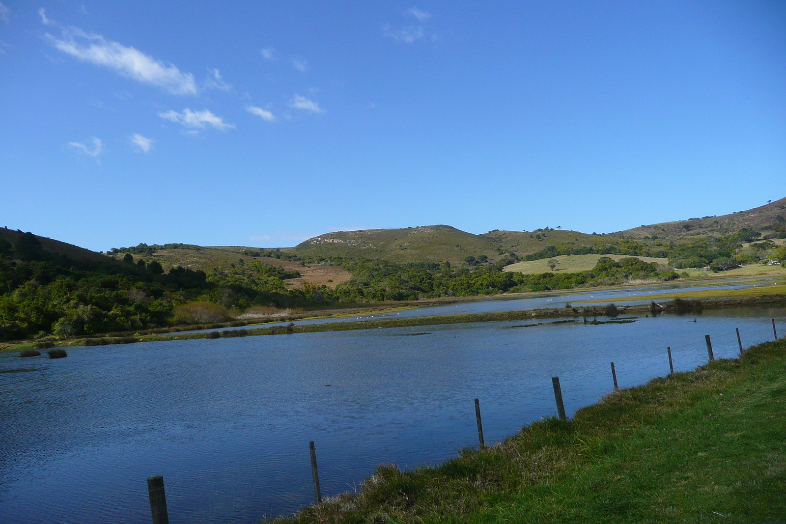 รูปถ่าย แอฟริกาใต้(South Africa) ไนส์นา(Knysna) 2008-09 108