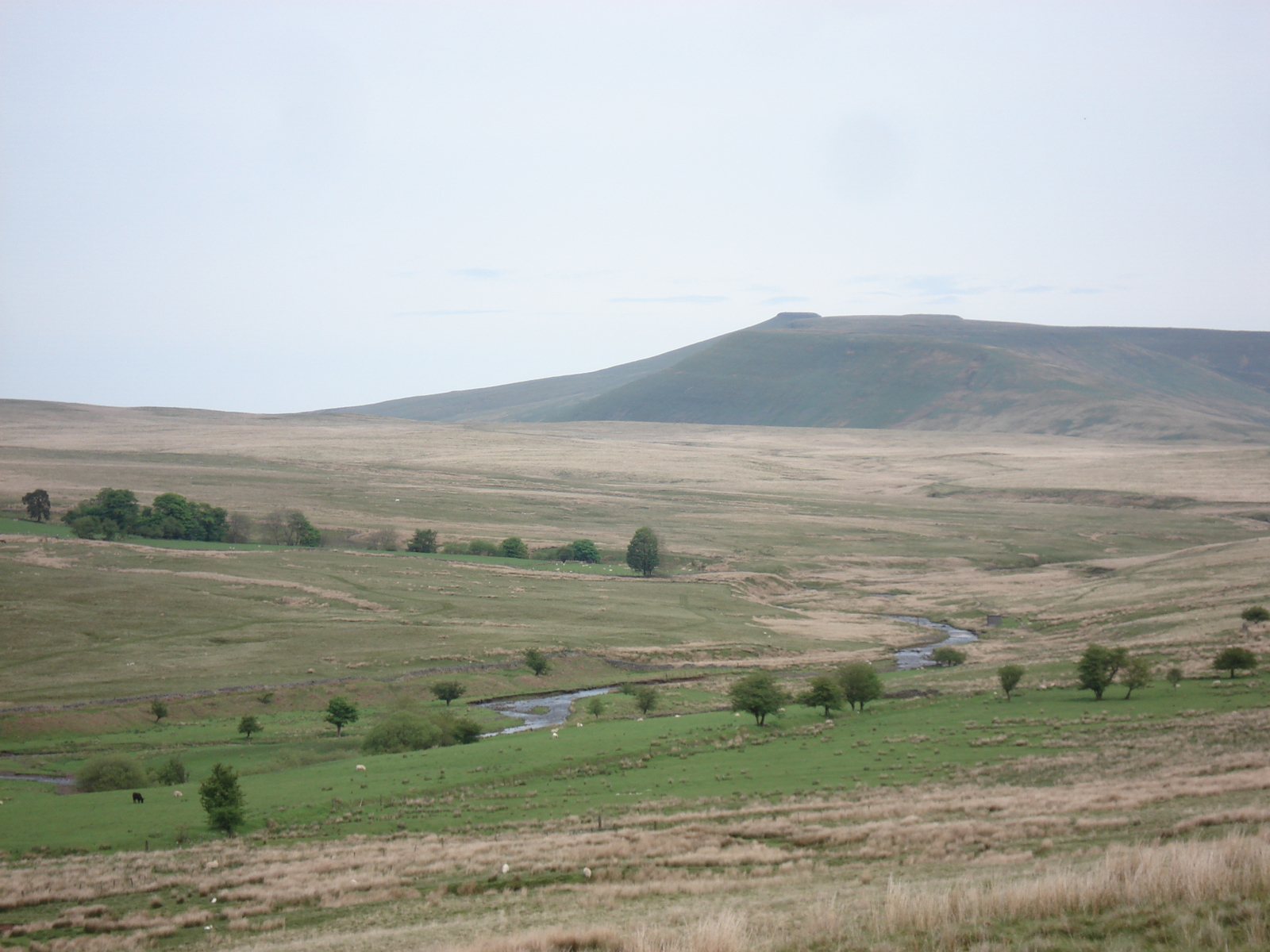 รูปถ่าย อังกฤษ(United Kingdom) อุทยานแห่งชาติเบรคอนบีคอนส์(Brecon Beacons National Park) 2006-05 101