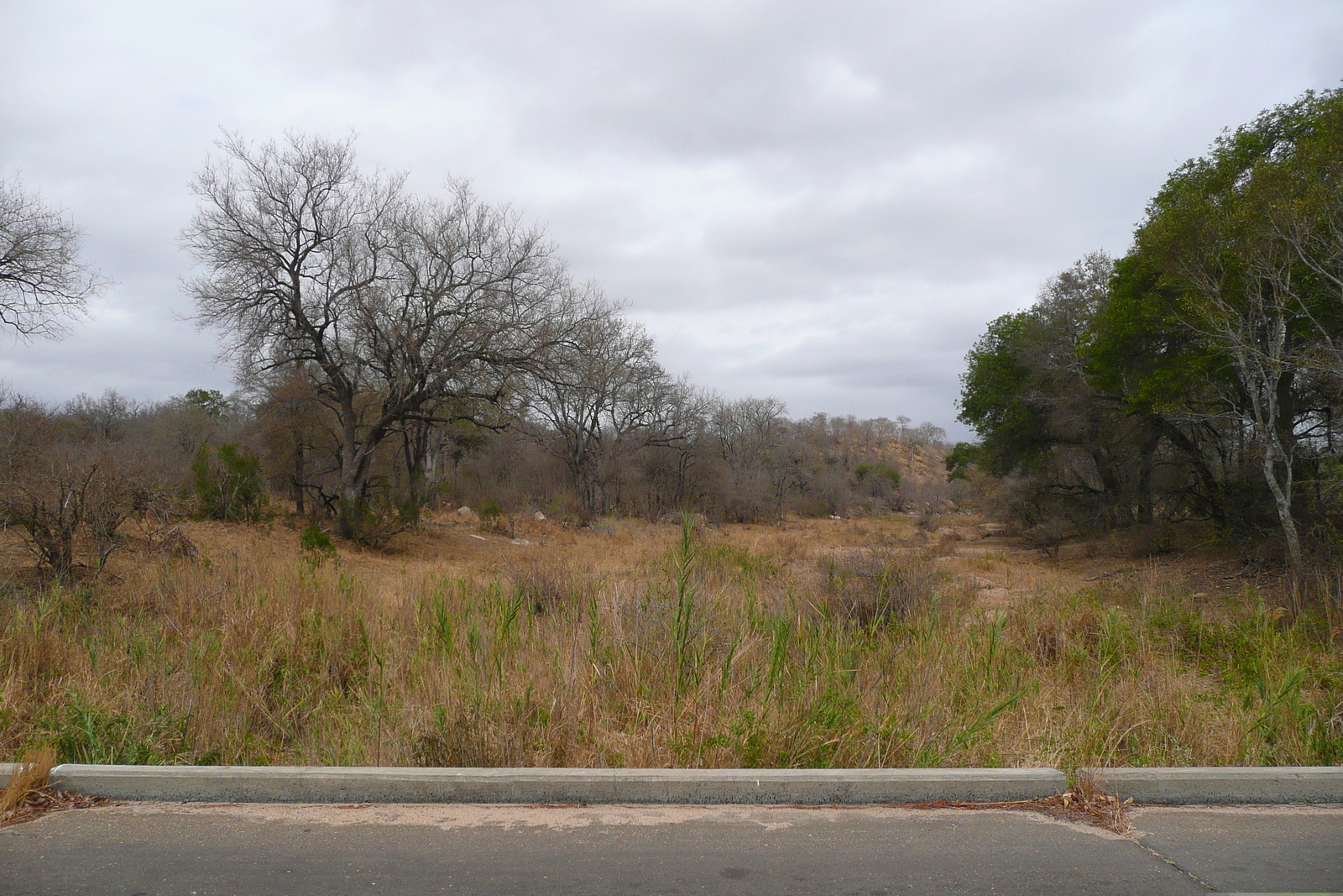รูปถ่าย แอฟริกาใต้(South Africa) อุทยานแห่งชาติครูเกอร์(Kruger National Park) 2008-09 177