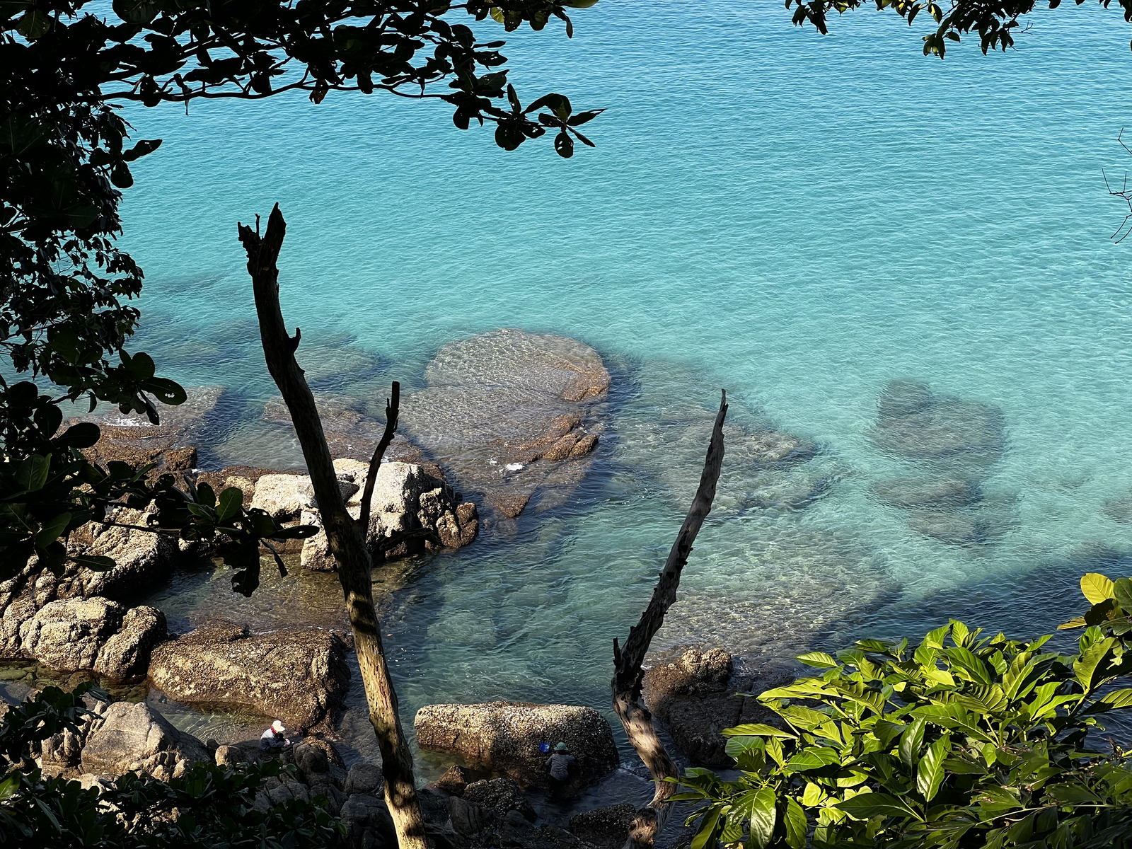 รูปถ่าย ไทย(Thailand) ภูเก็ต(Phuket) หาดสุรินทร์เหนือ(Surin north Beach) 2021-12 15