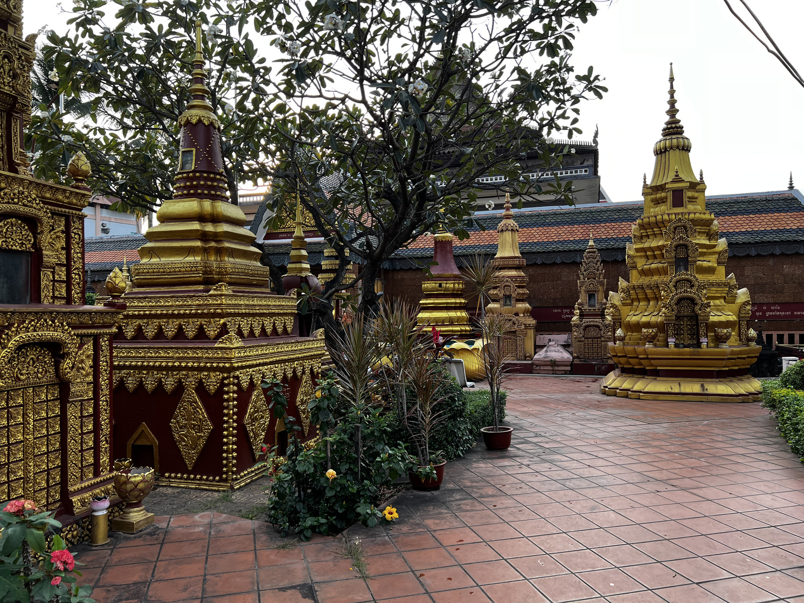 รูปถ่าย กัมพูชา(Cambodia) เสียมราฐ(Siem Reap) วัดพระพรหมรัตน์(Wat Preah Prom Rath) 2023-01 5