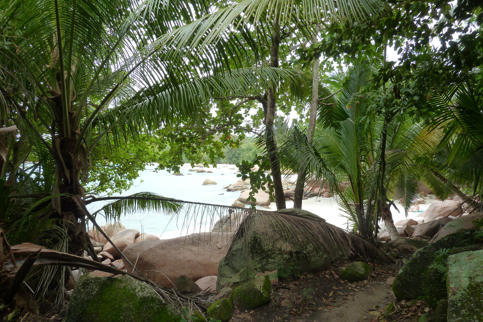 รูปถ่าย เซเชลส์(Seychelles) อ่าวอ็องส์ลาซิโอ(Anse Lazio) 2011-10 112