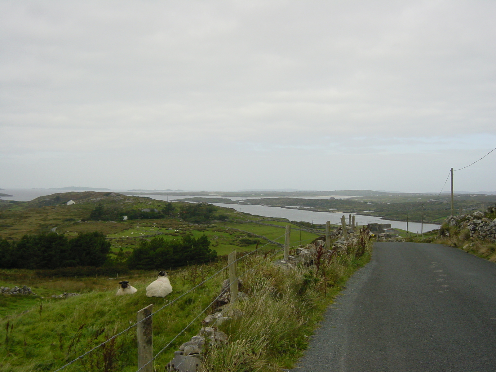 รูปถ่าย ไอร์แลนด์(Ireland) คอนเนอมารา(Connemara) 2003-09 54