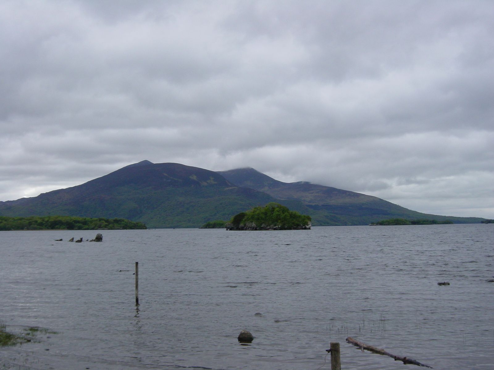 รูปถ่าย ไอร์แลนด์(Ireland) เคอร์รี่(Kerry) สวนสาธารณะคิลลาร์นีย์เนชั่นเนล(Killarney National Park) บ้านมัครอส(Muckross House) 2004-05 33