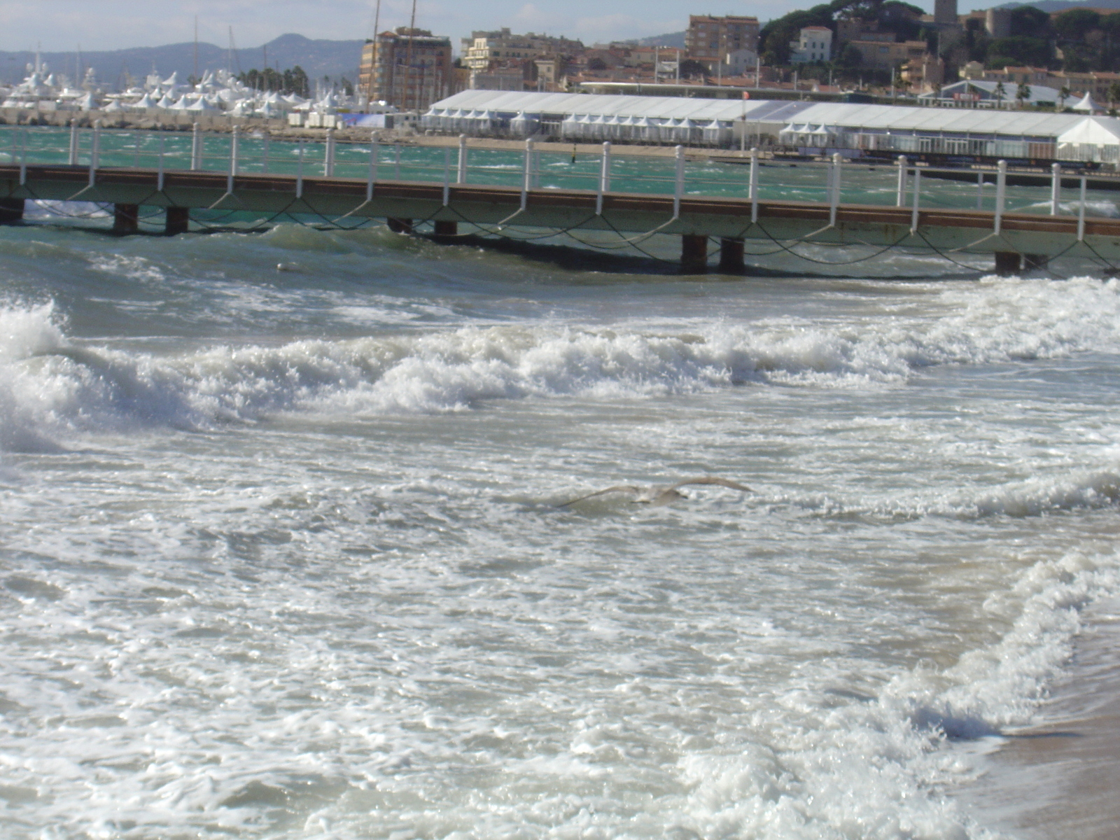 รูปถ่าย ฝรั่งเศส(France) คานส์(Cannes) 2005-02 10