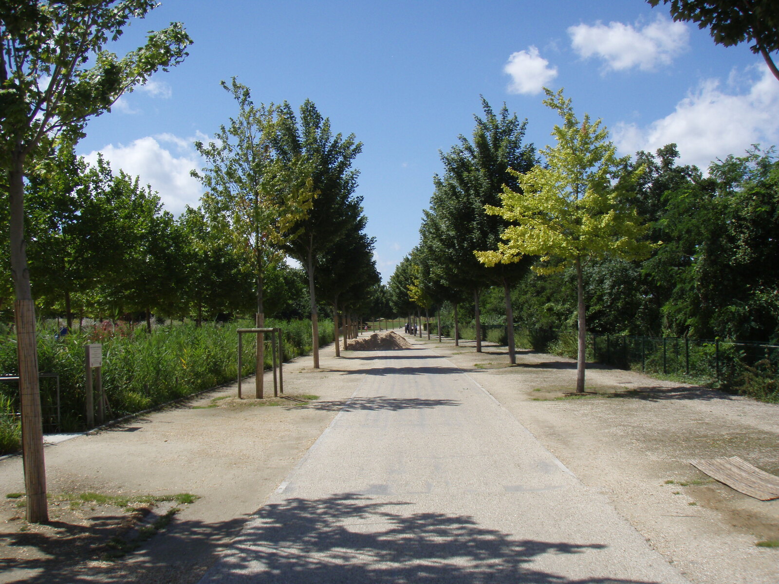 รูปถ่าย ฝรั่งเศส(France) โคลอมบ์(Colombes) เกาะมาร็องต์(L'ile Marrante) 2007-07 41