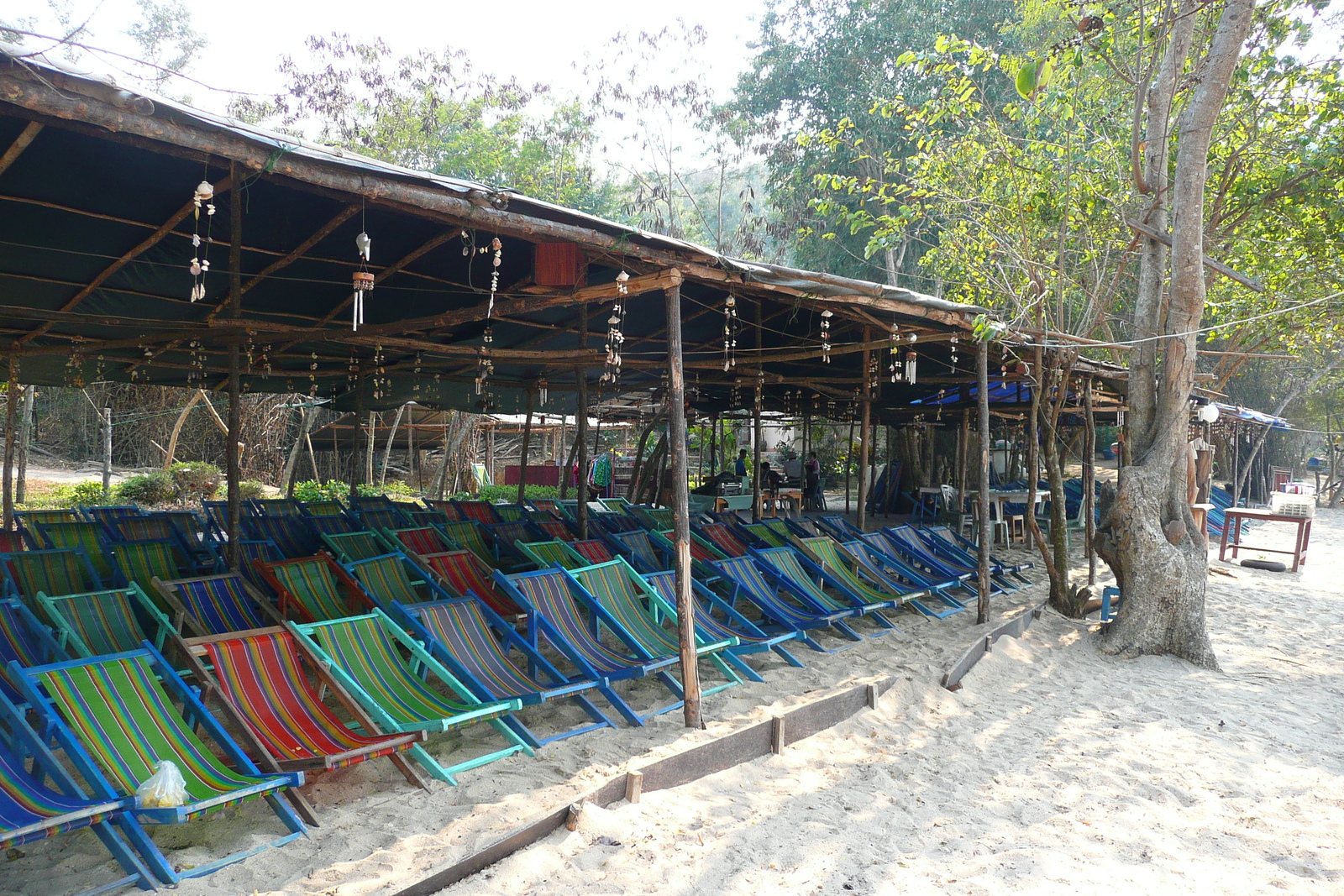 รูปถ่าย ไทย(Thailand) ชลบุรี(Chonburi) หาดทรายแก้ว(Sai Keaw Beach) 2008-01 19
