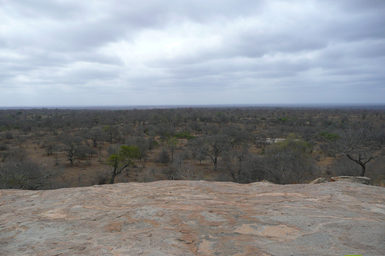รูปถ่าย แอฟริกาใต้(South Africa) อุทยานแห่งชาติครูเกอร์(Kruger National Park) 2008-09 11
