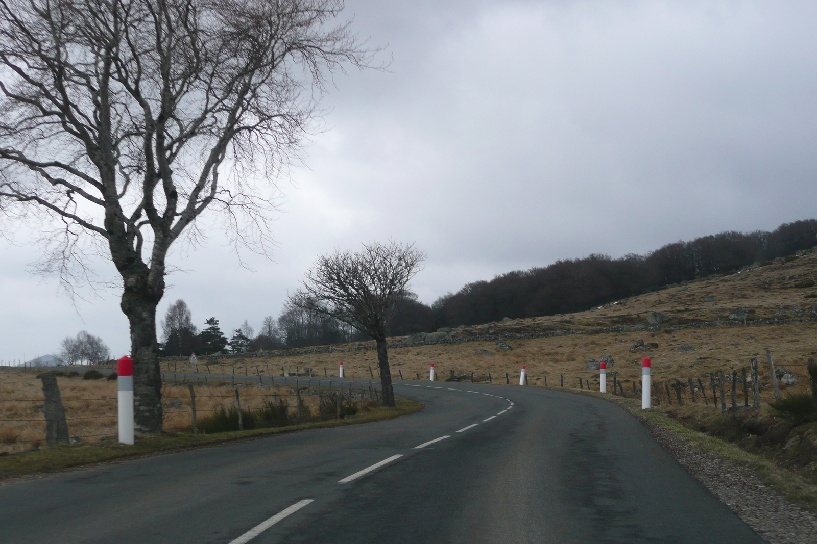 รูปถ่าย ฝรั่งเศส(France) โอบรัก(L'Aubrac) 2008-04 63