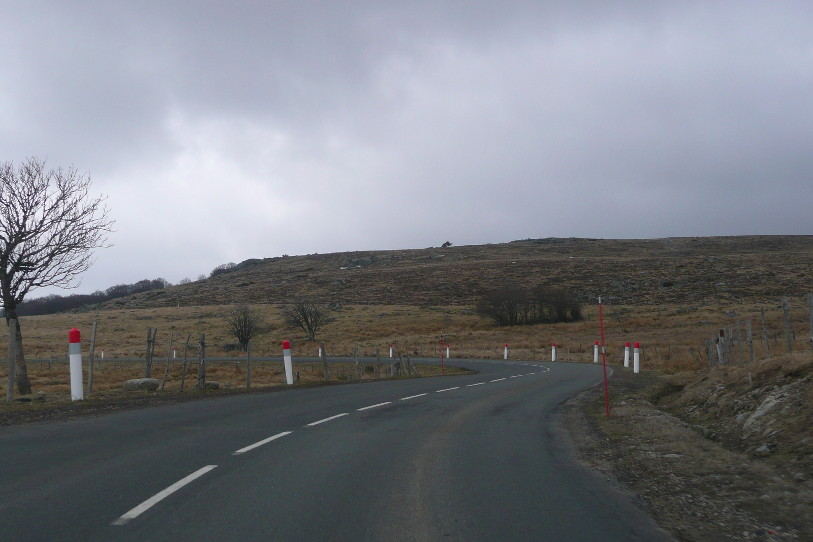 รูปถ่าย ฝรั่งเศส(France) โอบรัก(L'Aubrac) 2008-04 74