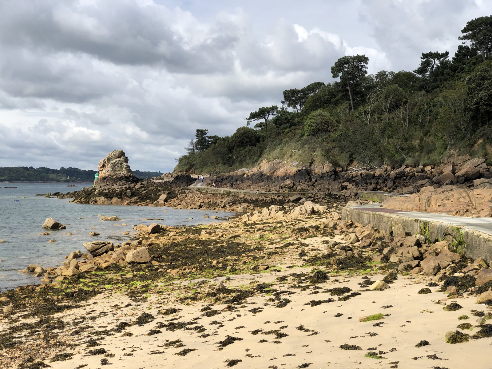 รูปถ่าย ฝรั่งเศส(France) เกาะเบรอา(Brehat Island) 2020-06 69