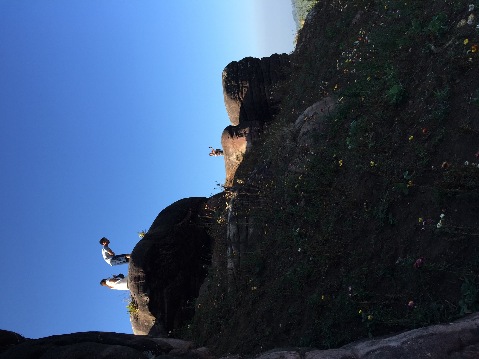 รูปถ่าย ไทย(Thailand) อุทยานแห่งชาติภูหินร่องกล้า(Phu Hin Rong Kla National Park) 2014-12 325