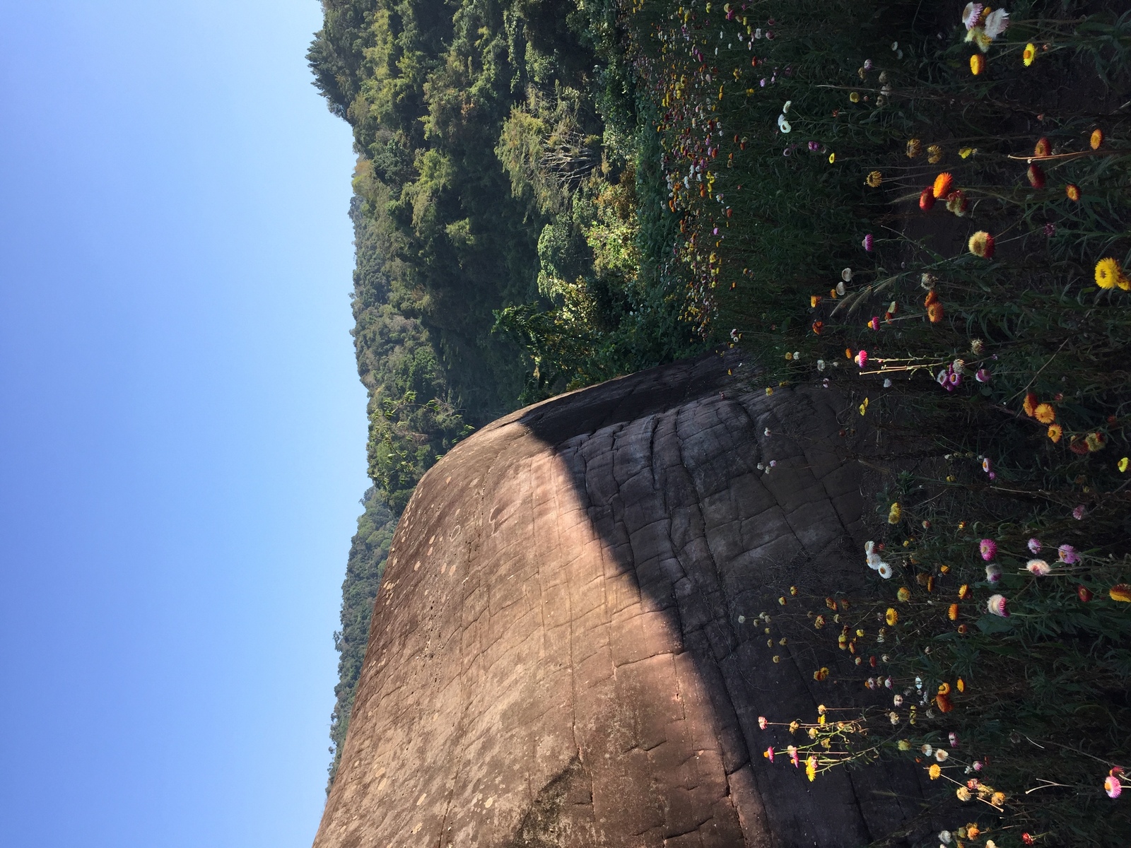 รูปถ่าย ไทย(Thailand) อุทยานแห่งชาติภูหินร่องกล้า(Phu Hin Rong Kla National Park) 2014-12 375