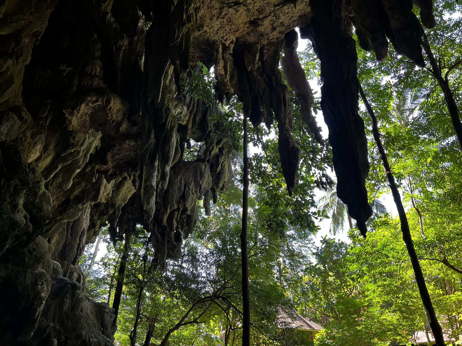 รูปถ่าย ไทย(Thailand) กระบี่(Krabi) 2023-01 33