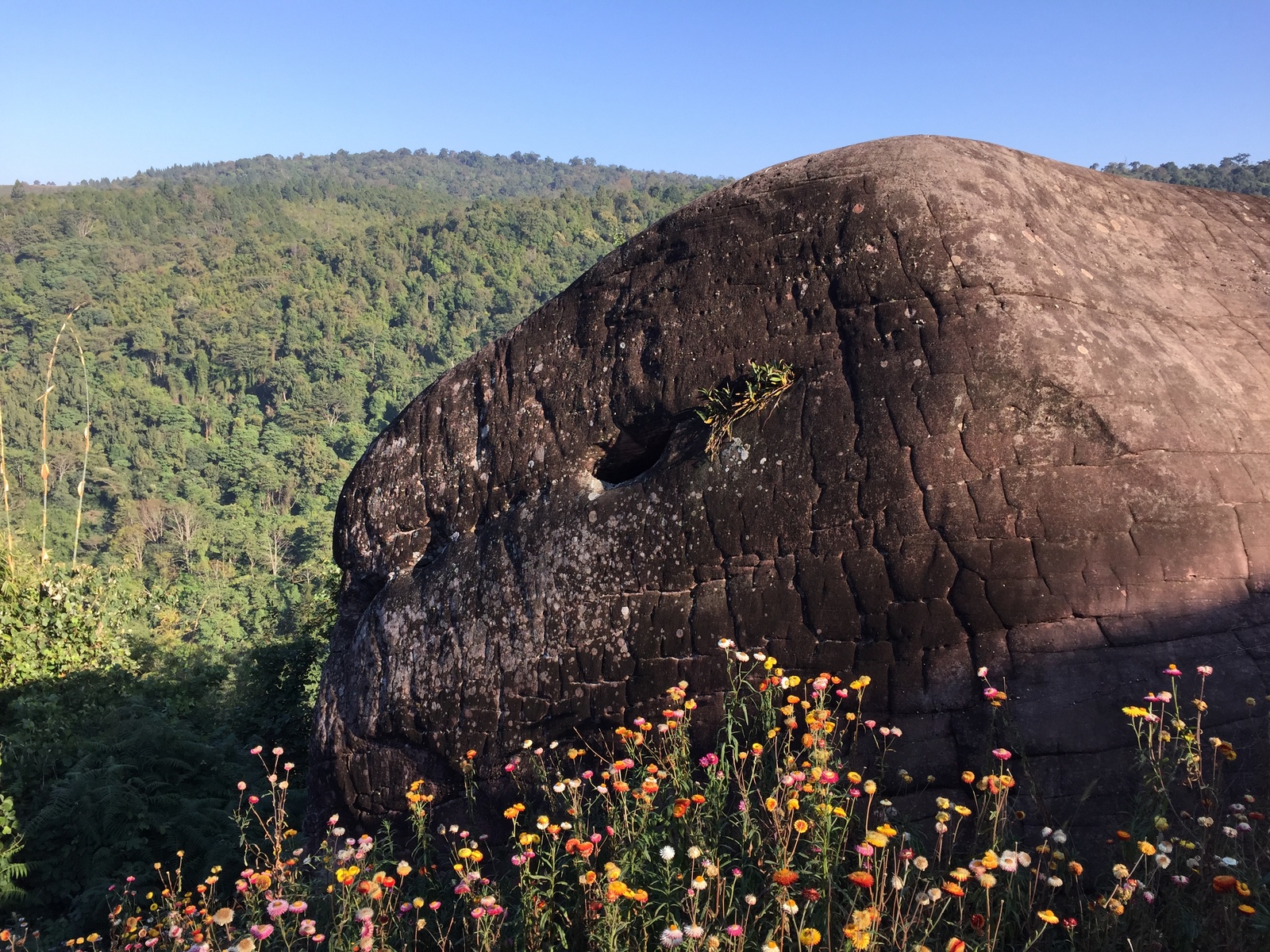 รูปถ่าย ไทย(Thailand) อุทยานแห่งชาติภูหินร่องกล้า(Phu Hin Rong Kla National Park) 2014-12 395