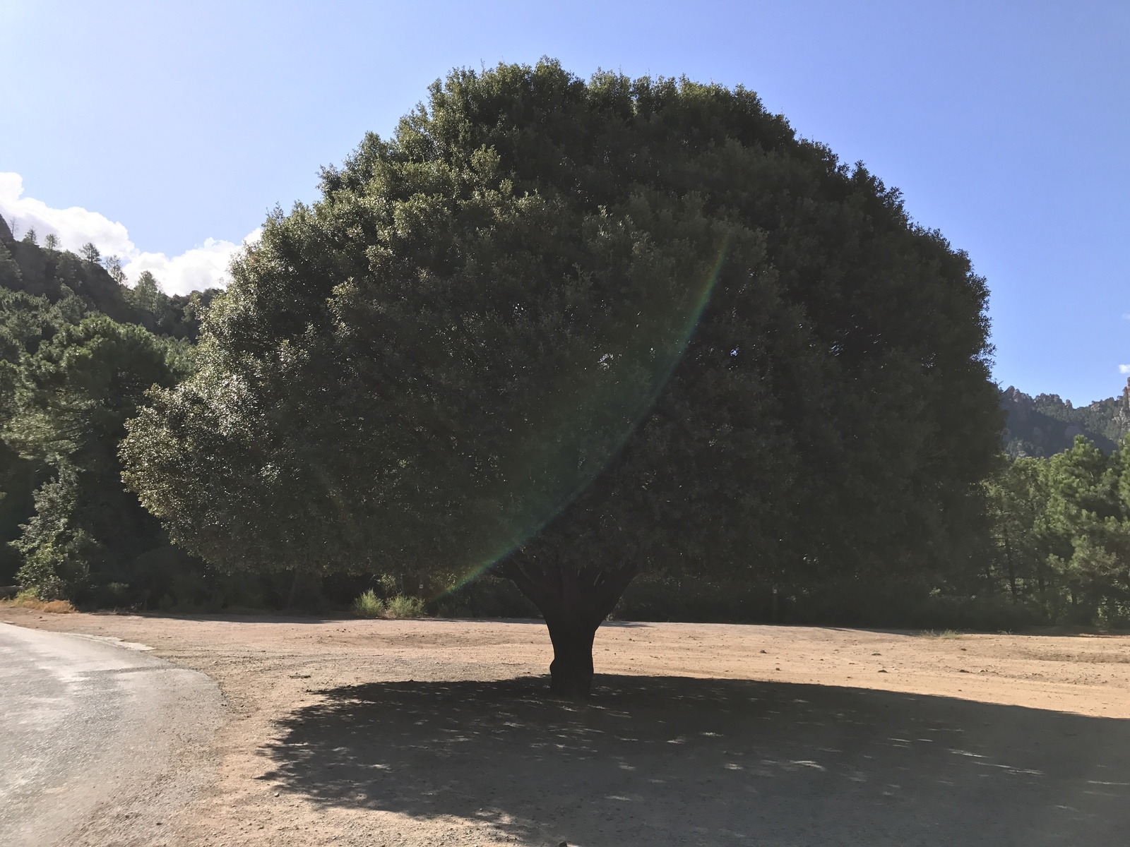 รูปถ่าย ฝรั่งเศส(France) คอร์สิคา(Corsica) เกนซา(Quenza) 2017-09 3