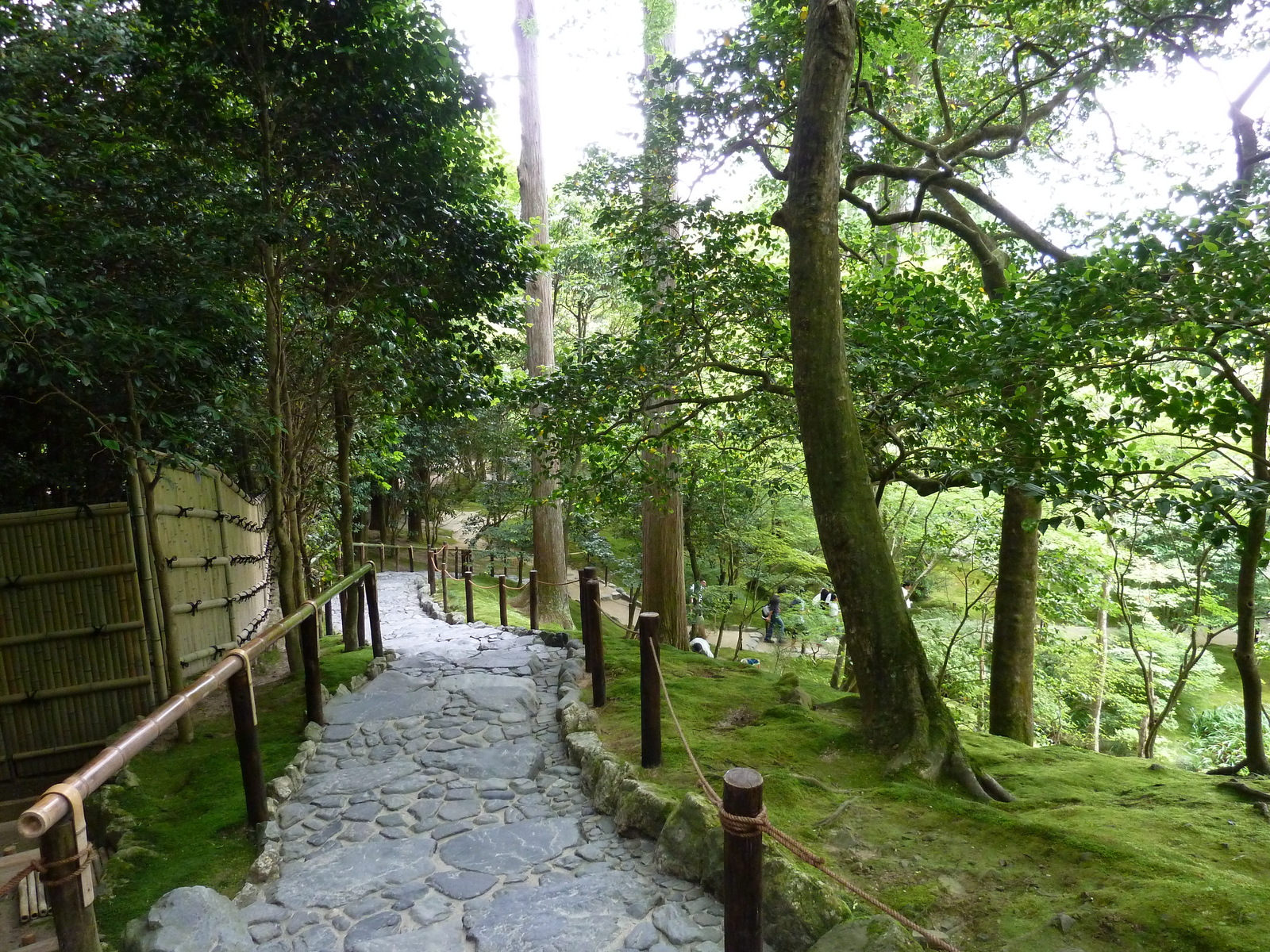 รูปถ่าย ญี่ปุ่น(Japan) เกียวโต(Kyoto) วัดกินกะกุจิ (ศาลาเงิน)(Ginkakuji Temple(Silver Pavilion)) 2010-06 81