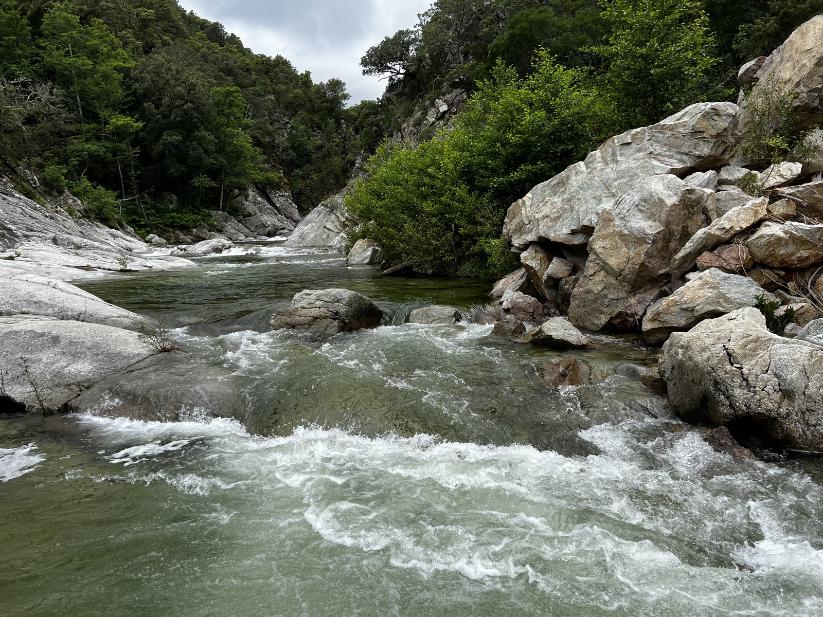 รูปถ่าย ฝรั่งเศส(France) คอร์สิคา(Corsica) คีซา(Chisa) 2023-06 29