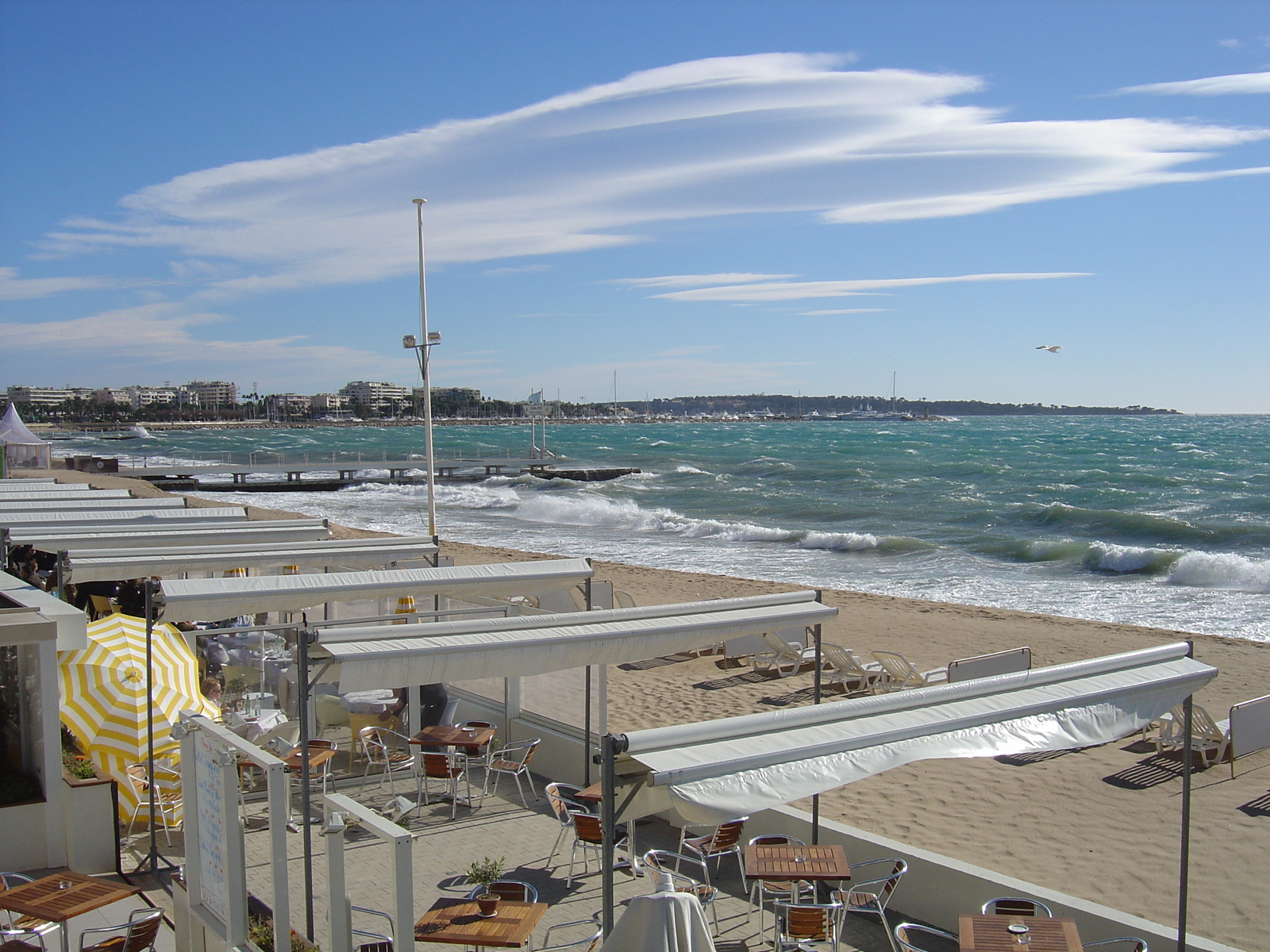 รูปถ่าย ฝรั่งเศส(France) คานส์(Cannes) 2005-02 20