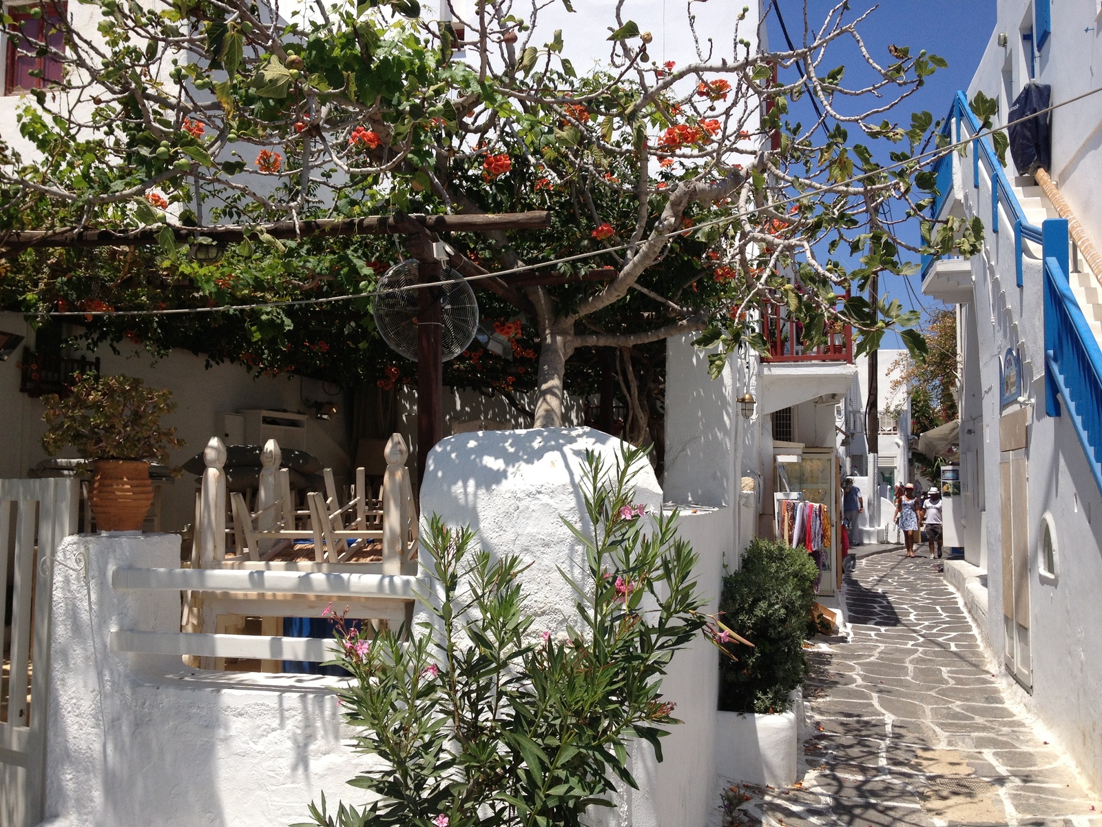 รูปถ่าย กรีก(Greece) เกาะมิโคนอส(Mykonos) 2014-07 189