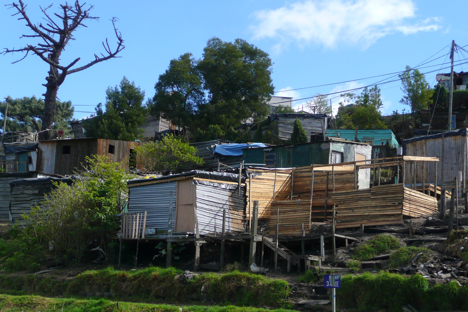 รูปถ่าย แอฟริกาใต้(South Africa) ไนส์นา(Knysna) 2008-09 106