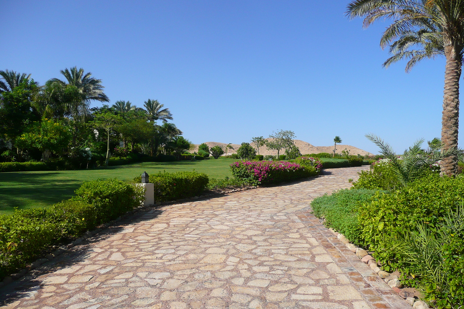 รูปถ่าย อียิปต์(Egypt) ชาร์มเอลชีค(Sharm el Sheikh) โรงแรมโฟร์ซีซันส์(Four Seasons Hotel) 2008-06 9