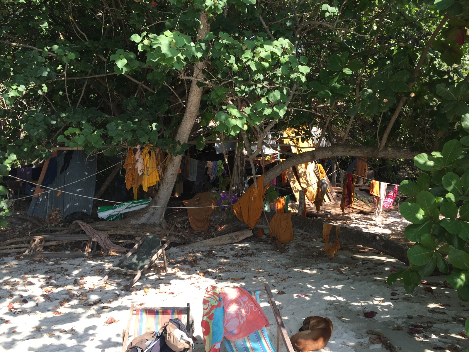 รูปถ่าย ไทย(Thailand) เกาะเสม็ด(Ko Samet) 2014-12 315