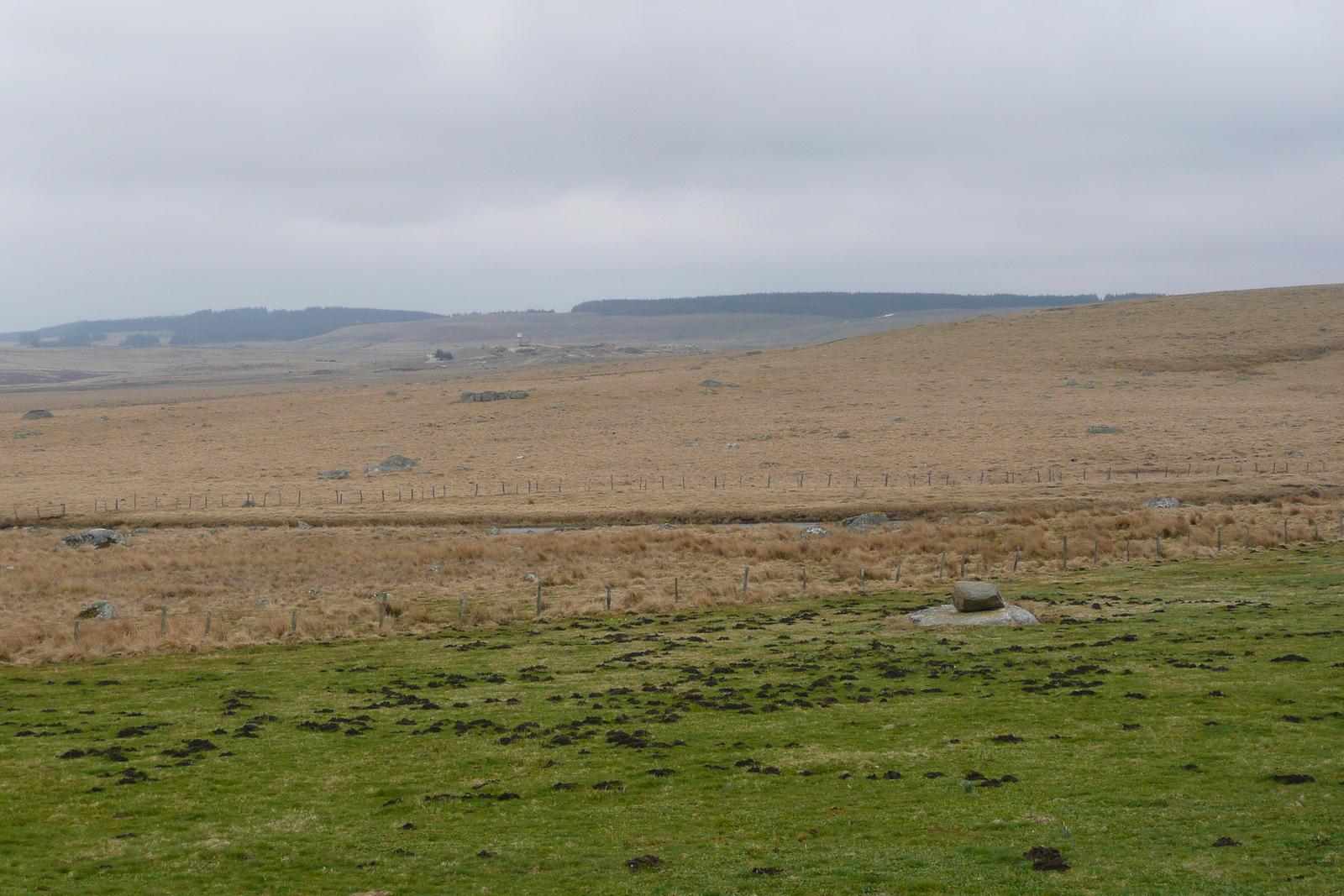 รูปถ่าย ฝรั่งเศส(France) โอบรัก(L'Aubrac) 2008-04 77