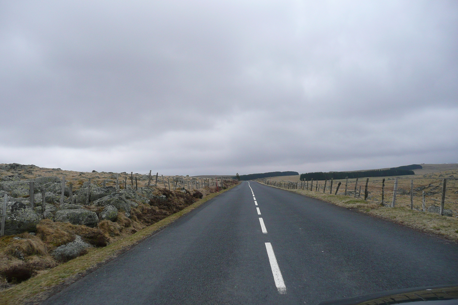 รูปถ่าย ฝรั่งเศส(France) โอบรัก(L'Aubrac) 2008-04 70