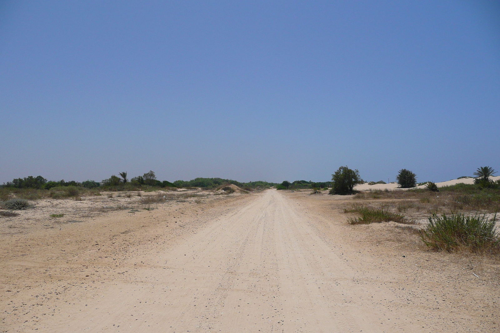 รูปถ่าย อิสราเอล(Israel) นิทซาน(Nitzan) 2007-06 99
