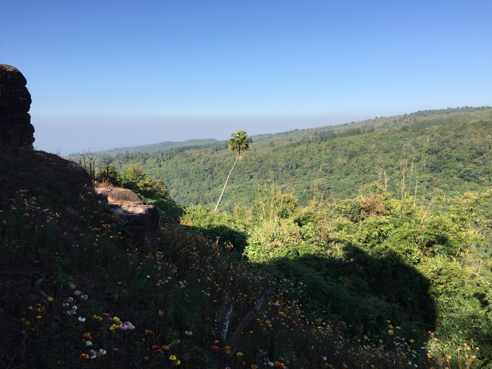 รูปถ่าย ไทย(Thailand) อุทยานแห่งชาติภูหินร่องกล้า(Phu Hin Rong Kla National Park) 2014-12 357