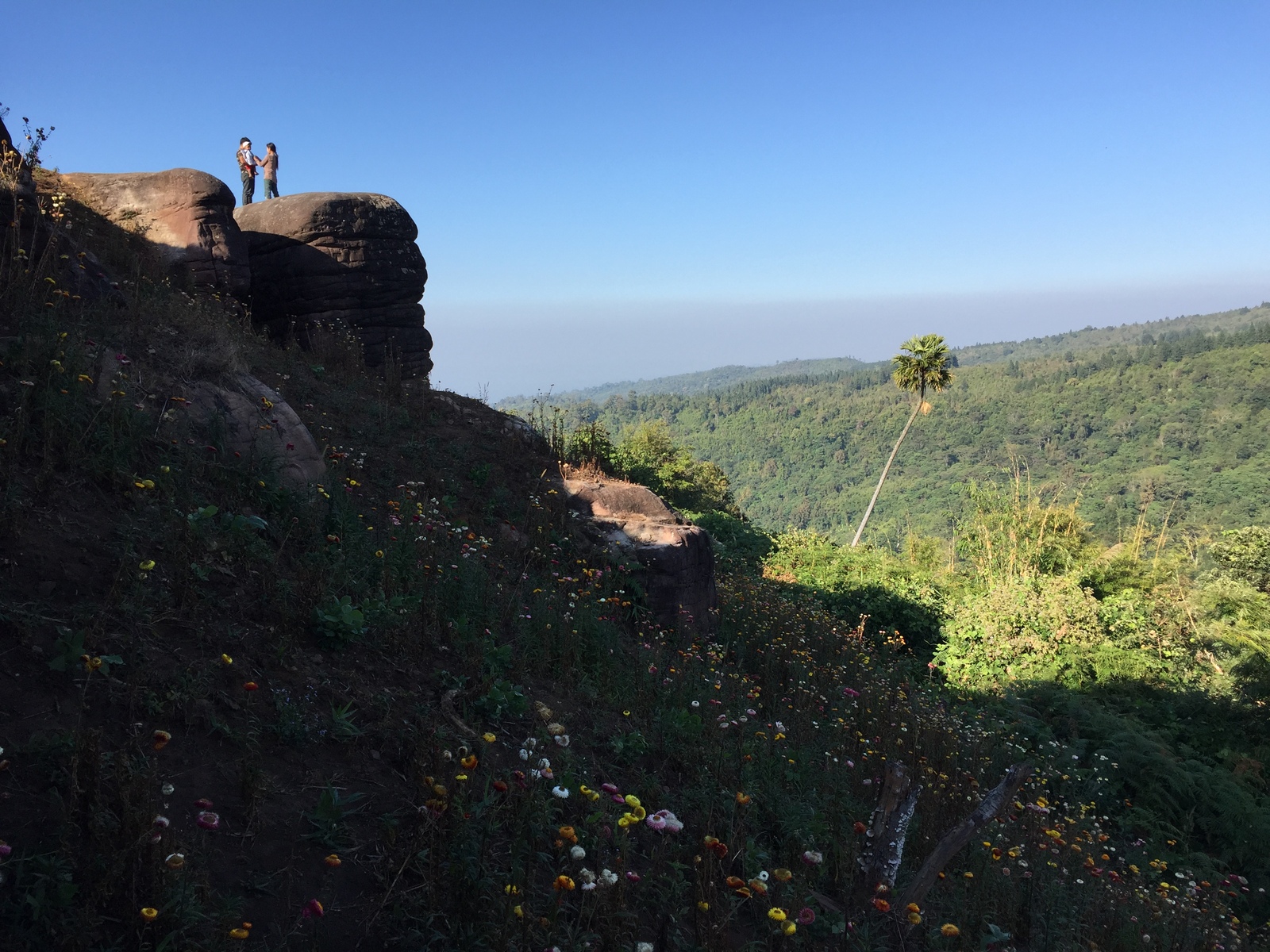 รูปถ่าย ไทย(Thailand) อุทยานแห่งชาติภูหินร่องกล้า(Phu Hin Rong Kla National Park) 2014-12 103