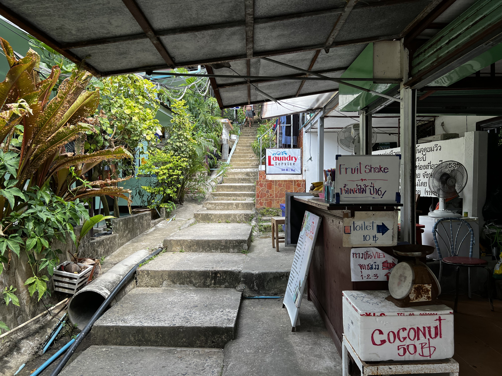รูปถ่าย ไทย(Thailand) เกาะพีพีดอน(Ko Phi Phi Don) 2021-12 195
