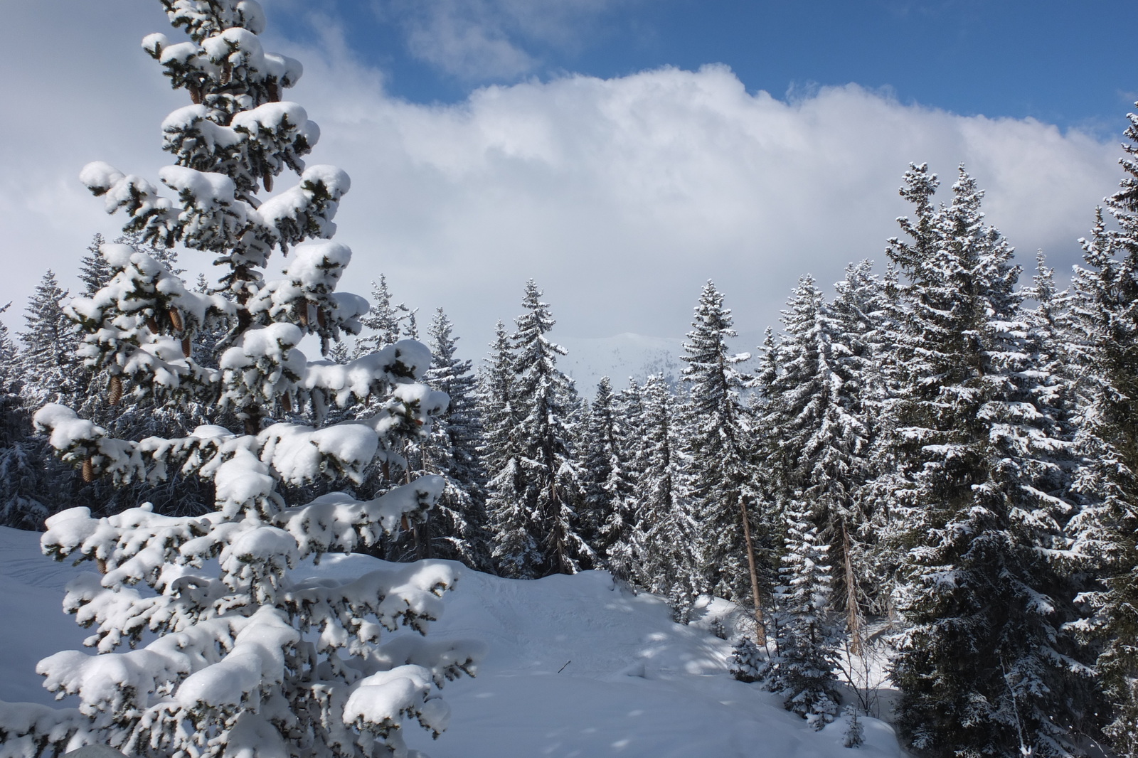 รูปถ่าย ฝรั่งเศส(France) เลทรัววาเล(Les 3 Vallees) 2013-03 129