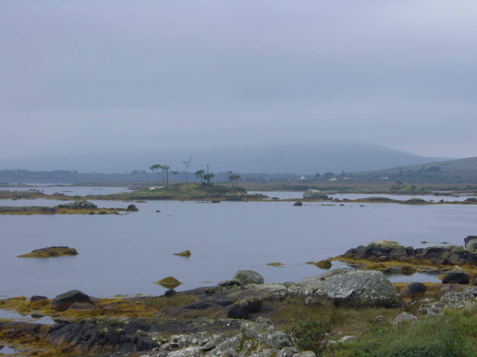 รูปถ่าย ไอร์แลนด์(Ireland) คอนเนอมารา(Connemara) 2003-09 20